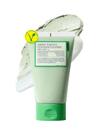 Limpador de Máscara de Argila com Tomate Verde - Purificador de Poros (120ml)