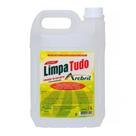 Limpador Limpa Tudo Concentrado 5 Litros Arcbril