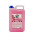 Limpador Multiuso Perfumado Concentrado Deoline 5 Litros Româ Limpador Multiuso Perfumado Concentrado Deoline 5 Litros Româ