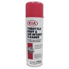 Limpador Para Entrada De Ar e Corpo de Borboleta - 300ml