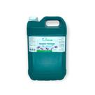 Limpador perfumado amor a mil galao 5l climpa