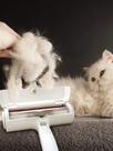 Limpador Rolo Removedor De Pelos Pet Cães & Gatos Sofá Roupa Carro