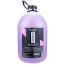 Limpador Ultra Concentrado Vonixx Extractus Sistema VSC - 5 Litros