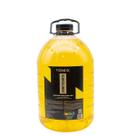 Limpeza Estofados Poder Finalizador Sanitizante 5L Vonixx