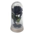Linda Redoma com Rosa Branco , inspirada na A Rosa Encantada do filme a A Bela e A Fera e do O Pequeno Príncipe.