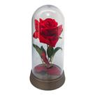Linda Redoma com Rosa Preta, inspirada na A Rosa Encantada do filme a A Bela e A Fera e do O Pequeno Príncipe