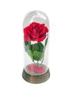 Linda Redoma com Rosa Vermelha, inspirada na A Rosa Encantada do filme a A Bela e A Fera