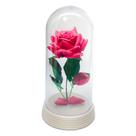 Linda Redoma Rosa Pink A Rosa Encantada do filme a A Bela e A Fera Perola Presente dia dos namorados