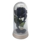 Linda Redoma Rosa Preta A Rosa Encantada do filme a A Bela e A Fera Perola Presente para namorada