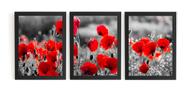 Lindo Conjunto 3 Quadros Decorativos Flores 44x32xm Cada Lindo Conjunto 3 Quadros Decorativos Flores 44x32xm Cada