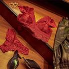 Lingerie de renda vermelha