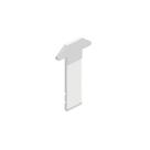 Lingueta Alumiconte Fecho Concha 40mm em Inox Reta LIN04