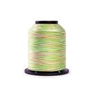 Linha Finesse Multicolorida 50wt 3 Fios Poliéster 1005m