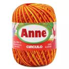 Linha Fio Anne 500 Circulo Multicolor Crochê Trico