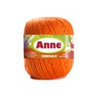 Linha Fio Anne Para Crochê Trico 500m Cores Circulo