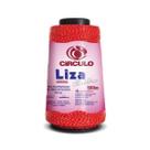 Linha Liza Brilho Grossa - Cor 887 - 500 Metros - Círculo