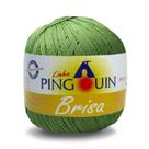 Linha Pingouin Brisa para Crochê e Macramê 100% Acrílico com 100g