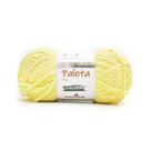 Linha Pingouin Inverno Paleta 100gr