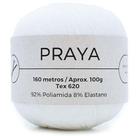 Linha Praya 100g - Fio com Elasticidade Linha Praya 100g - Fio com Elasticidade