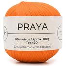 Linha Praya 100g - Fio com Elasticidade