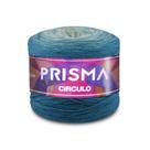 Linha Prisma Círculo 150g 600m - Cor 9397 - Riviera