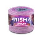 Linha Prisma Círculo 150g 600m - Cor 9490 - Carrossel