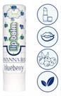 Lip Balm Protetor Labial Blueberry Com 3,5g