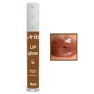 Lip Gloss My Touch Marrom 9073 4ml Anita Lip Gloss My Touch Marrom 9073 4ml Anita