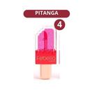 Lip Gloss Picolé
