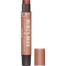 Lip Shimmer Burt's Bees Caramel 2,27 mL Lip Shimmer Burt's Bees Caramel 2,27 mL