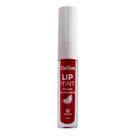 Lip Tint Tim-Tim Dailus Frozen de Melancia