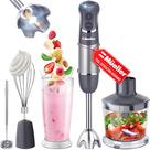 Liquidificador de imersão 5 em 1 Mueller Multistick Handheld 800W