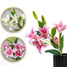 Lírio Artificial Decorativo Realista para Vaso e Arranjos