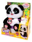Little Live Pets Meu Bebê Panda Chuchu Fun F0219-3