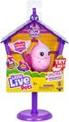 Little Live Pets Passáros na Casinha