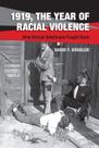 Livro 1919, O ano da violência racial afro-americanos