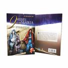 Livro 9 meses com maria: novena de nove meses - padre luis erlin - Ave Maria