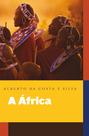 Livro - A África explicada aos meus filhos