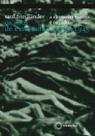 Livro - A alemanha nazista e os judeus: vol 2