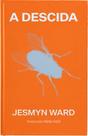 Livro - A descida