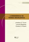 Livro - A emergência da teoria sociológica