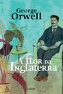 Livro - A Flor da Inglaterra