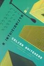 Livro - A intuicionista