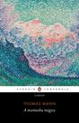 Livro - A Montanha Mágica