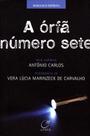 Livro - A órfã número sete
