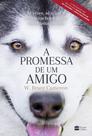 Livro - A promessa de um amigo