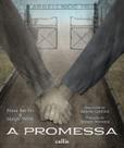 Livro - A Promessa Livro - A Promessa