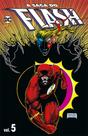 Livro - A Saga do Flash 05