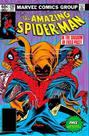 Livro - A Saga do Homem-Aranha 17