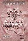 Livro - A sombria queda de Elizabeth Frankeinsten Livro - A sombria queda de Elizabeth Frankeinsten